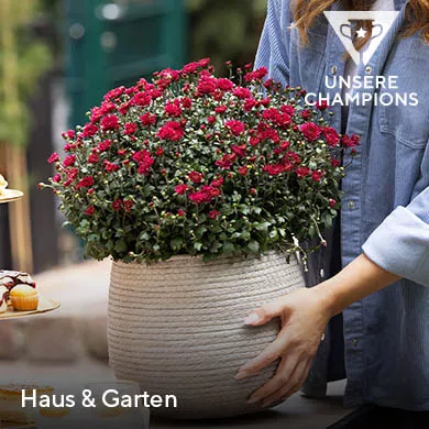 Top bewertet Haus & Garten