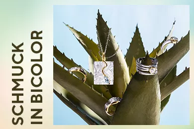 Schmuck in Bicolor
