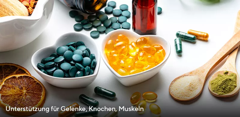 Unterstützung für Gelenke, Knochen, Muskeln