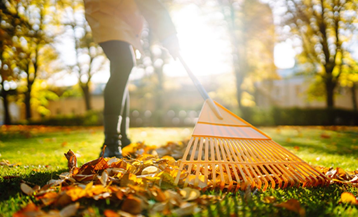 Garten in Balance - Herbsttools