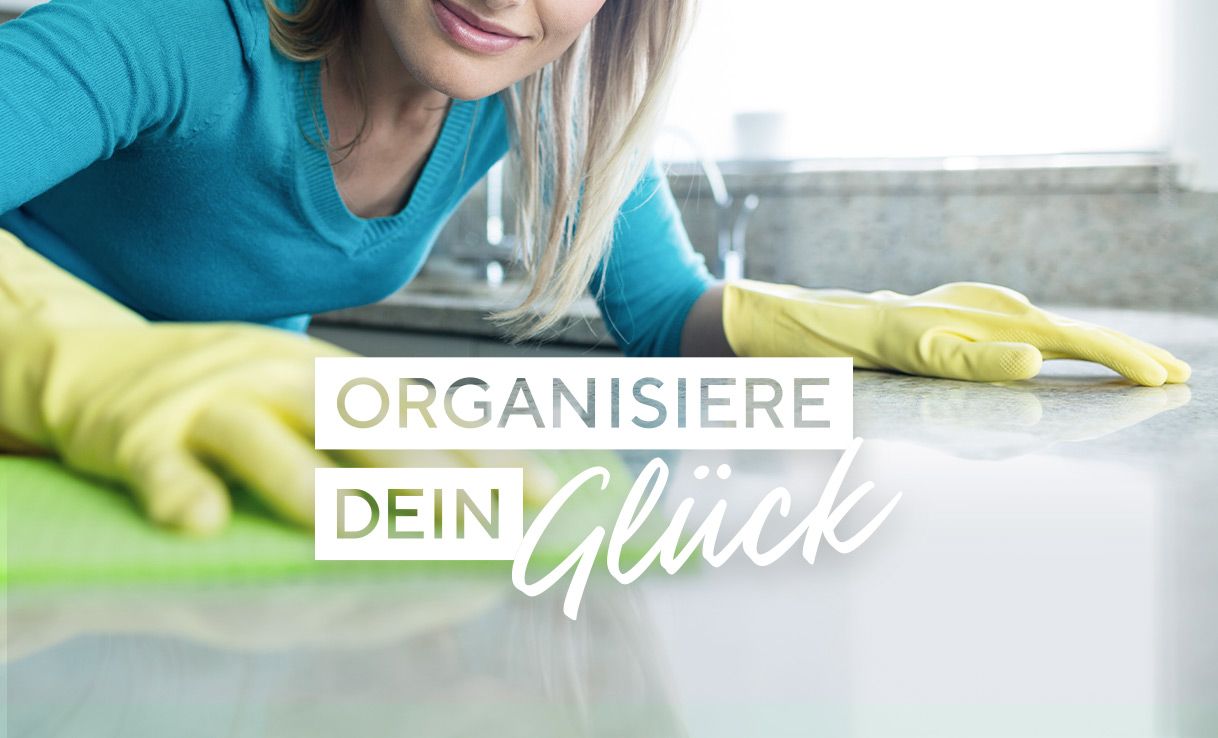 Alles gegen den Schimmel und Schmutz