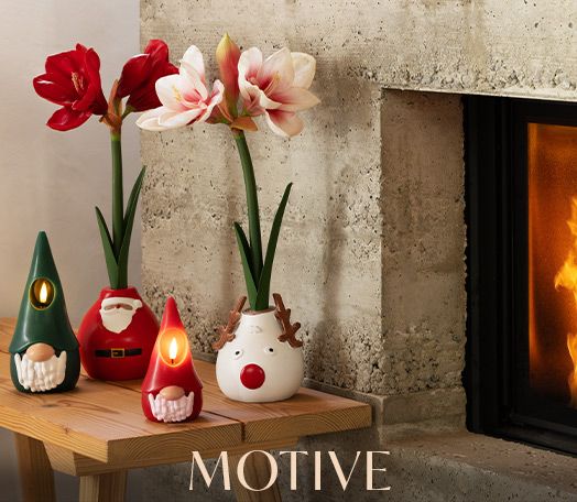 Weihnachtliche Motive