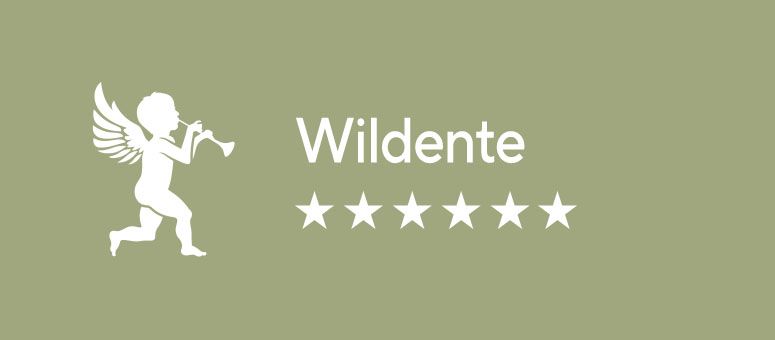 SPESSARTTRAUM Bettwaren Serie Wildente