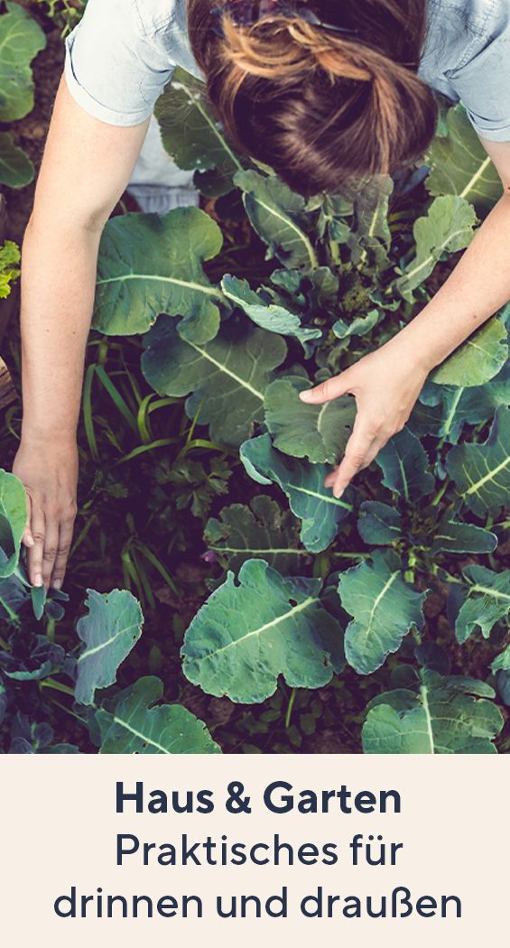 Haus & Garten Deals