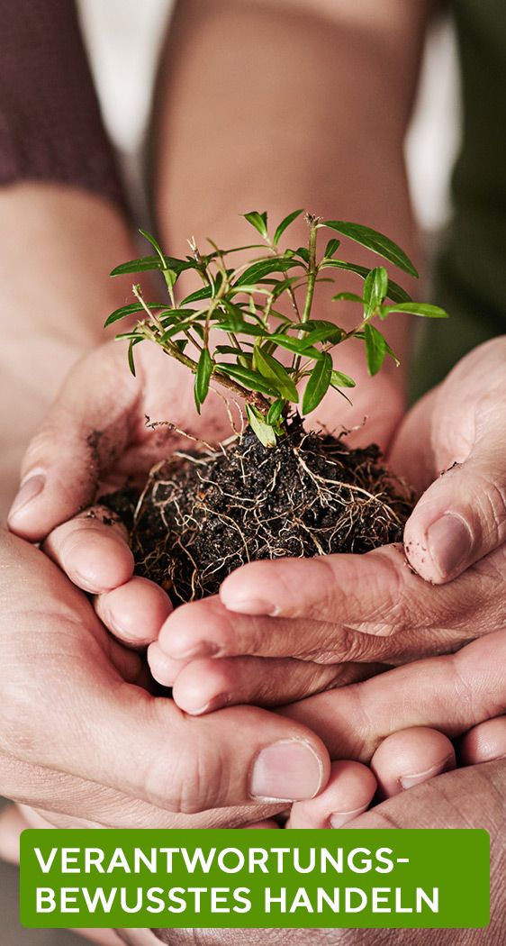 Verantwortungsbewusstes Handeln