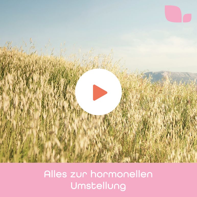 Kornfeld bei Tag. Hier klicken für Infos zur hormonellen Umstellung.
