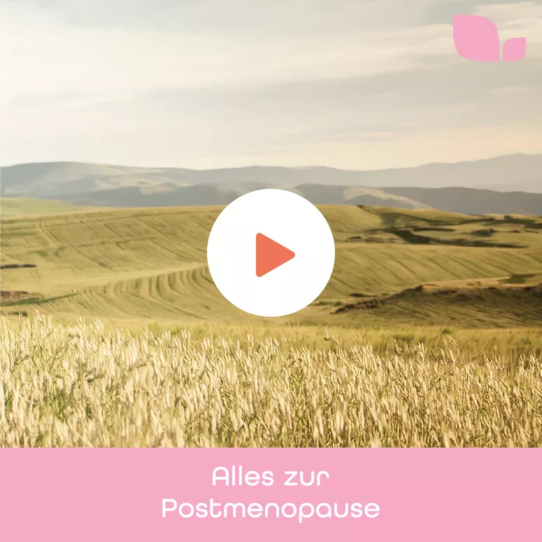 Kornfeld bei Tag. Hier klicken für Infos zur Postmenopause.